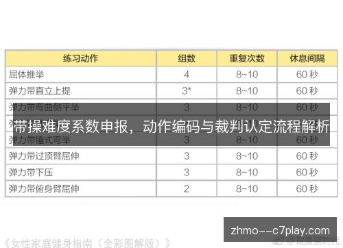 带操难度系数申报，动作编码与裁判认定流程解析